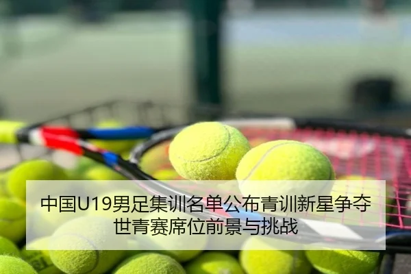 中国U19男足集训名单公布青训新星争夺世青赛席位前景与挑战