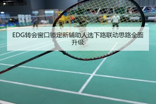EDG转会窗口锁定新辅助人选下路联动思路全面升级